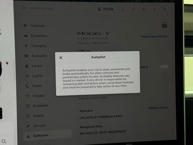 Photo of 2025 Gray Tesla Model Y