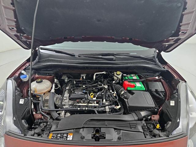 Photo of 2021 Red Ford Escape