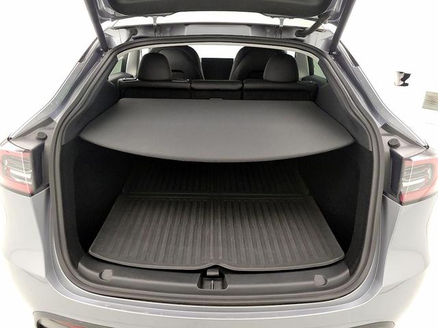 Photo of 2025 Silver Tesla Model Y