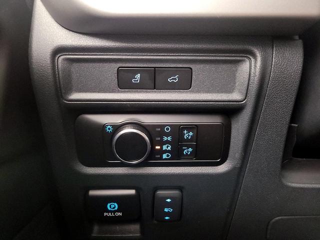 Photo of 2023 Green Ford Expedition