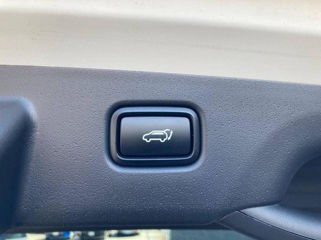 Photo of 2023 White Kia Niro EV