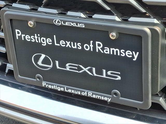 Photo of 2023 Nebula Gray Pearl Lexus RX 350