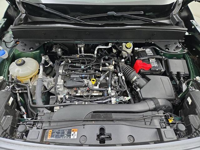 Photo of 2023 Green Ford Bronco Sport