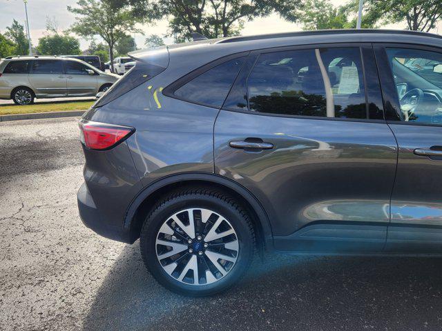 Photo of 2020 Magnetic Ford Escape