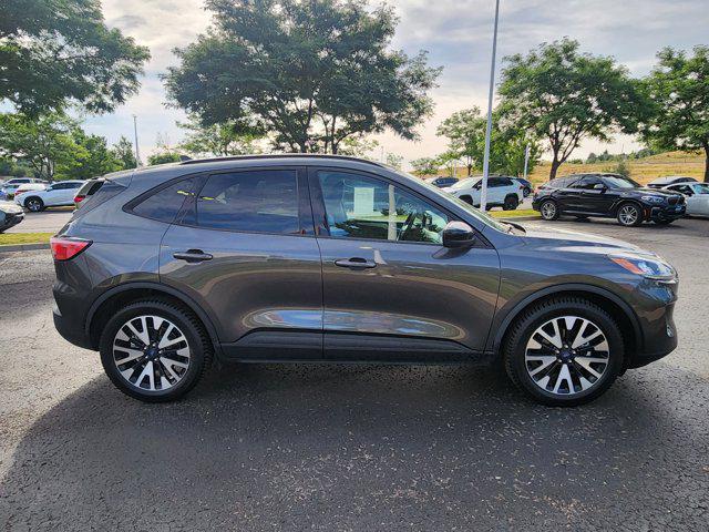 Photo of 2020 Magnetic Ford Escape
