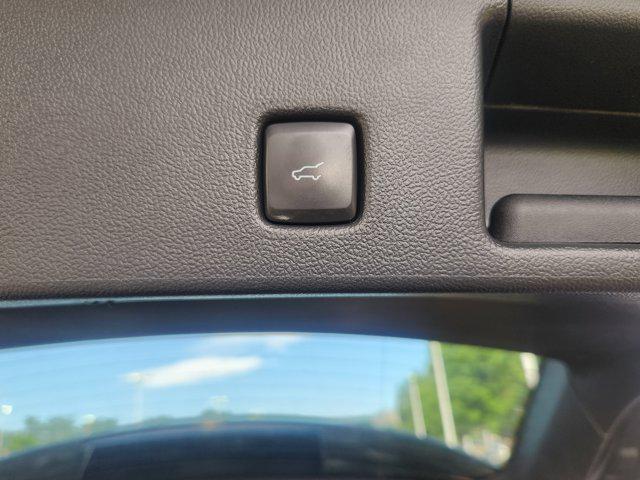 Photo of 2020 Magnetic Ford Escape