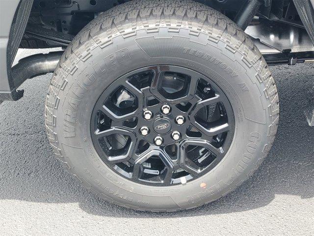 Photo of 2025 Carbonized Gray Metallic Ford F-150