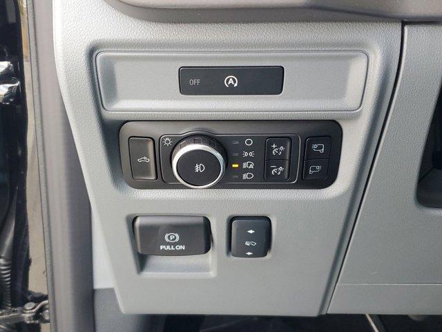 Photo of 2025 Agate Black Metallic Ford F-150