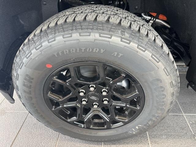 Photo of 2025 Agate Black Metallic Ford F-150