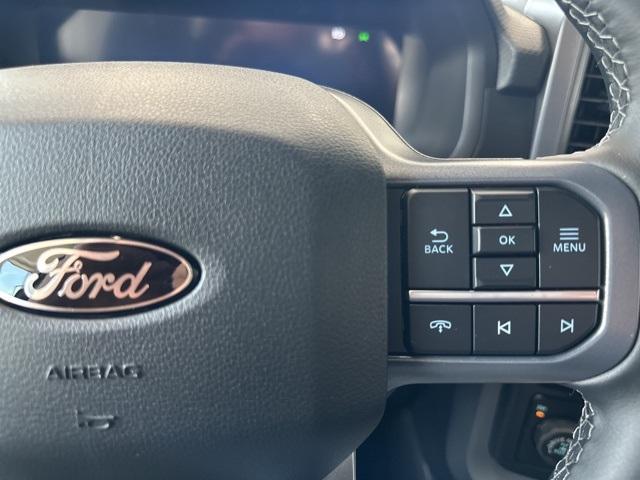 Photo of 2025 Agate Black Metallic Ford F-150