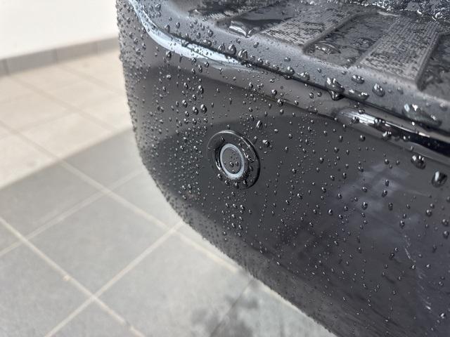 Photo of 2025 Agate Black Metallic Ford F-150