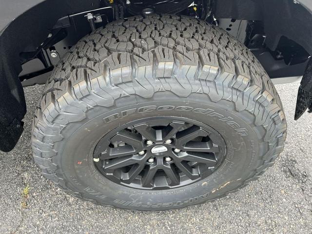 Photo of 2025 Carbonized Gray Metallic Ford F-150