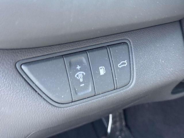 Photo of 2024 Uyuni White Genesis G70