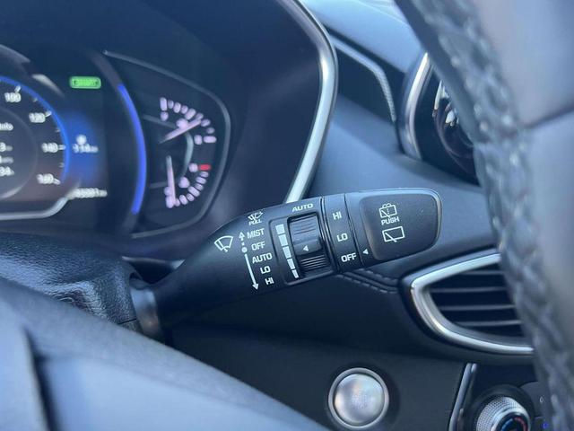 Photo of 2020 Rainforest Hyundai SANTA FE