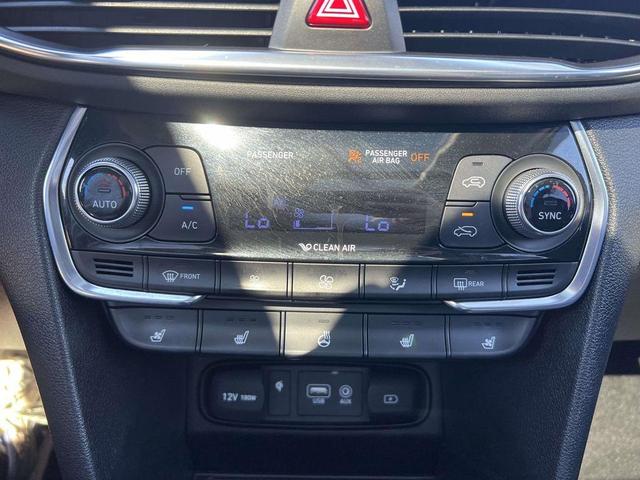 Photo of 2020 Rainforest Hyundai SANTA FE