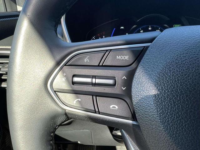 Photo of 2020 Rainforest Hyundai SANTA FE