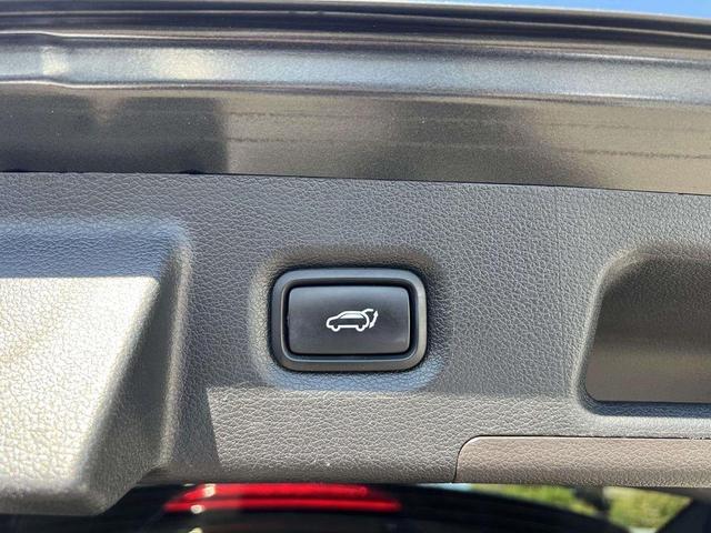 Photo of 2020 Rainforest Hyundai SANTA FE
