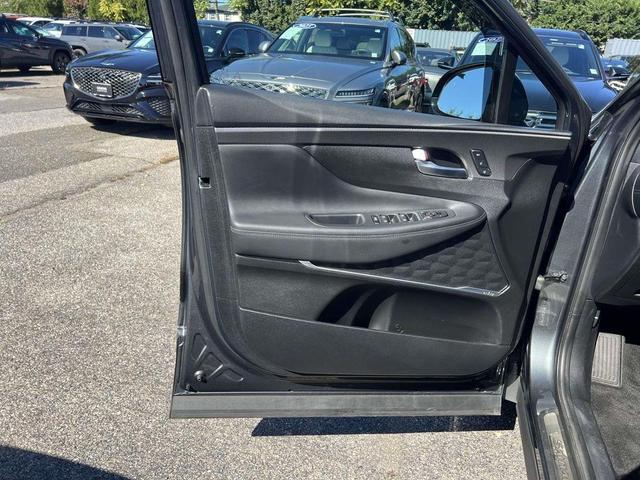 Photo of 2020 Rainforest Hyundai SANTA FE