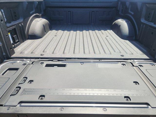 Photo of 2025 Carbonized Gray Metallic Ford F-150