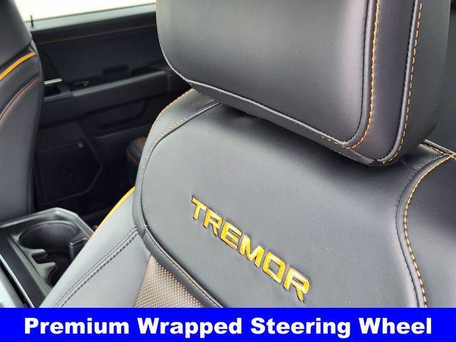 Photo of 2025 Carbonized Gray Metallic Ford F-150