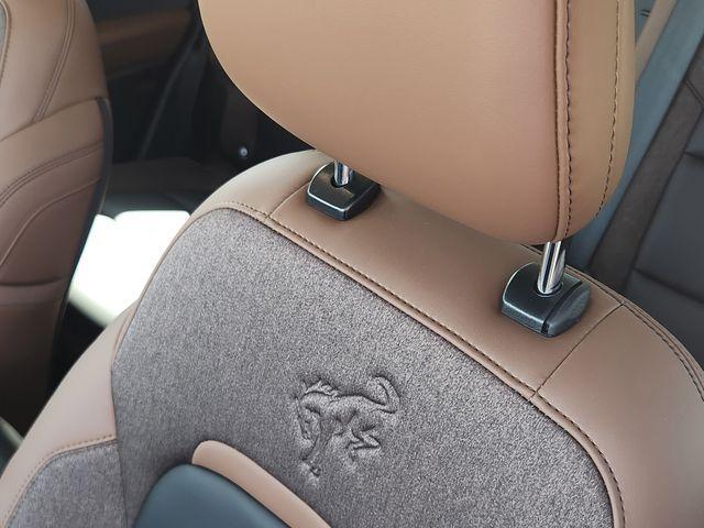 Photo of 2025 Desert Sand Ford Bronco Sport