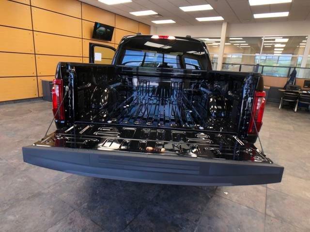 Photo of 2025 Black Metallic Ford F-150