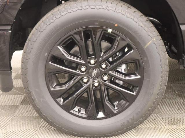 Photo of 2025 Agate Black Metallic Ford F-150