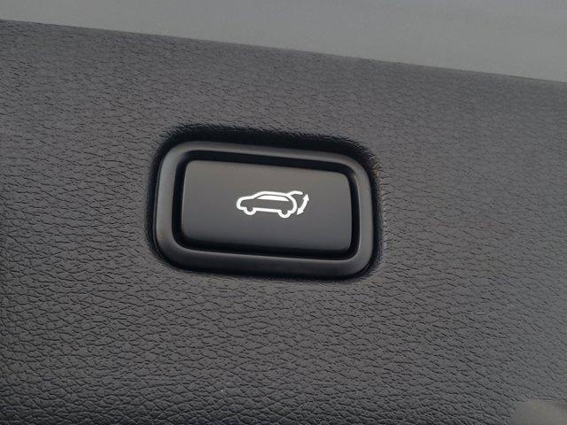 Photo of 2023 Wolf Gray Kia Sportage
