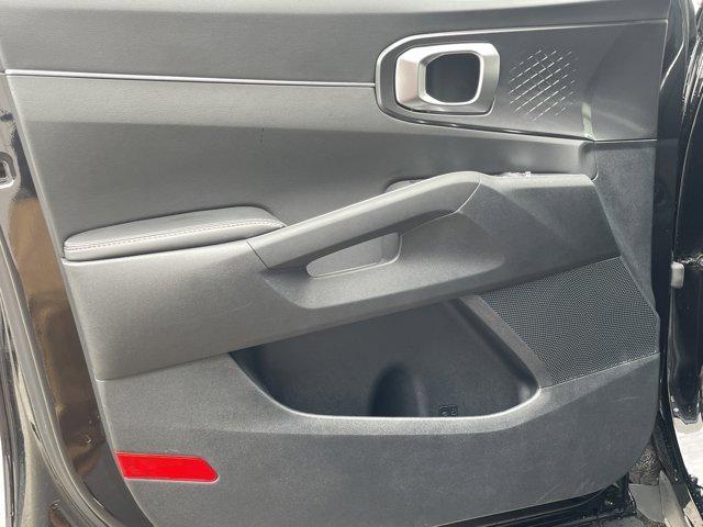 Photo of 2024 Ebony Black Kia Sorento