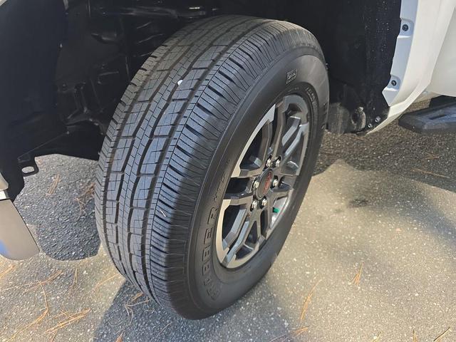 Photo of 2024 Ice Cap Toyota Tacoma