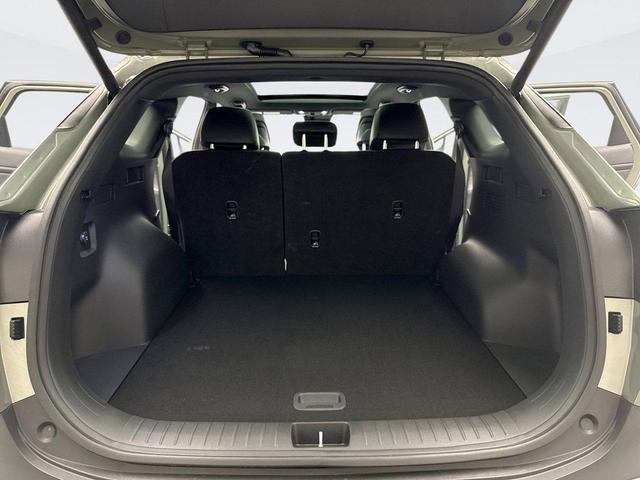 Photo of 2024 Jungle Green Kia Sportage