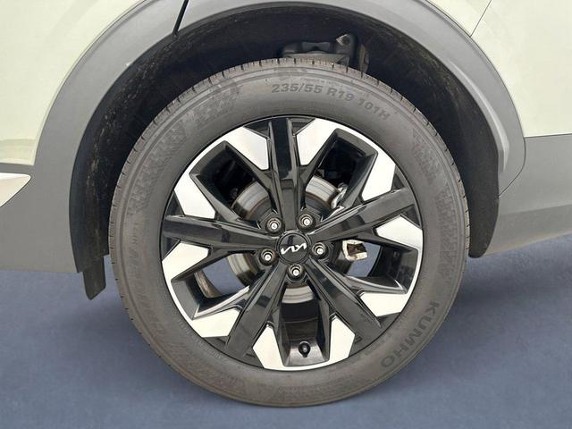Photo of 2024 Jungle Green Kia Sportage