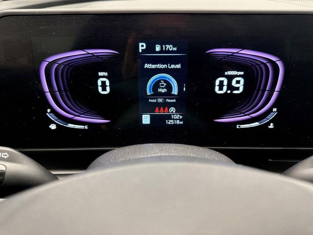 Photo of 2024 Jungle Green Kia Sportage
