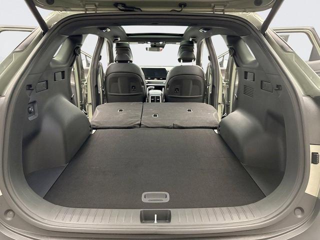 Photo of 2024 Jungle Green Kia Sportage