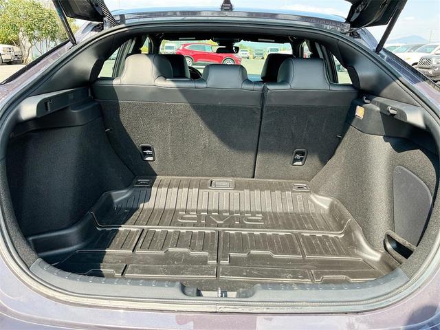 Photo of 2023 Purple Metallic Honda Civic