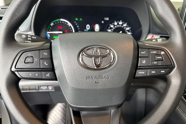 Photo of 2025 Ice Toyota Sienna