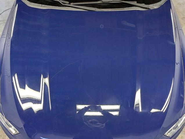 Photo of 2016 Blue Ford Sedan Police Interceptor