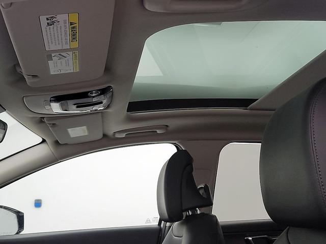 Photo of 2023 White Kia Sportage
