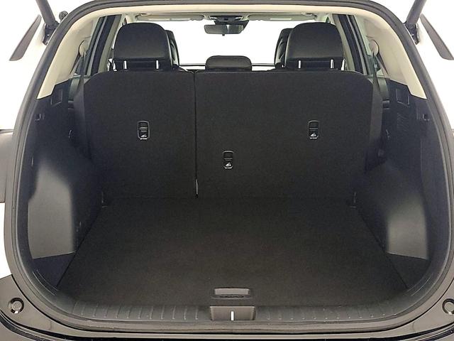 Photo of 2023 White Kia Sportage