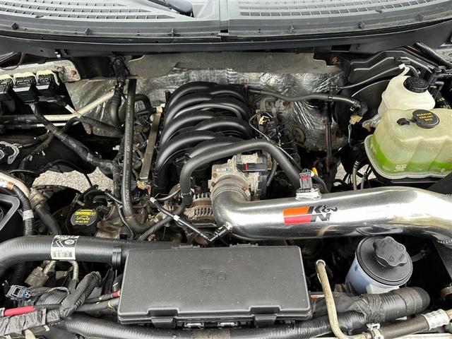 Photo of 2010  Ford F-150
