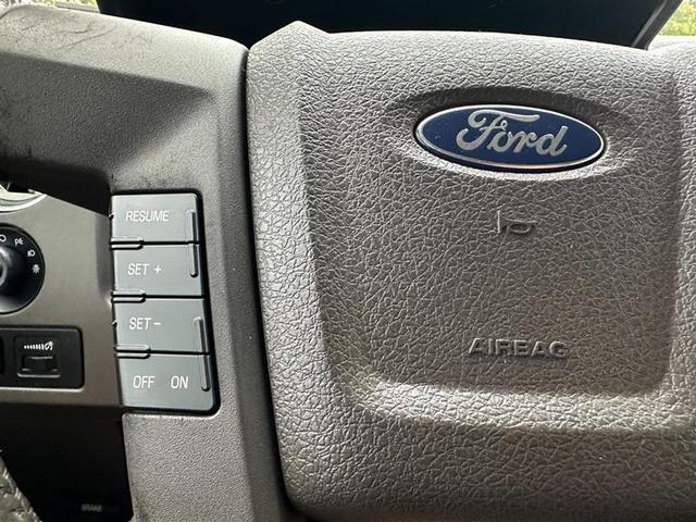Photo of 2010  Ford F-150