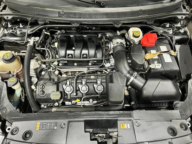 Photo of 2019 Magnetic Ford Flex