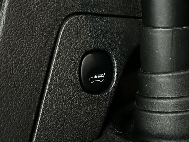 Photo of 2019 Magnetic Ford Flex