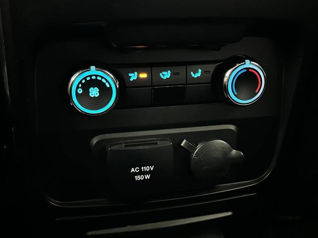 Photo of 2019 Magnetic Ford Flex