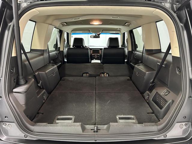 Photo of 2019 Magnetic Ford Flex