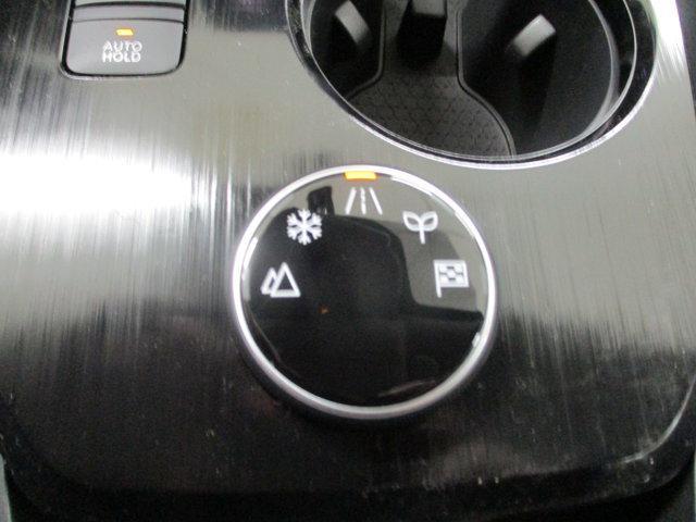 Photo of 2025 Everest White Pearl Nissan Rogue
