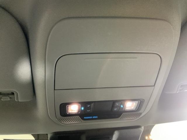 Photo of 2025 Black Metallic Ford F-150 Lightning