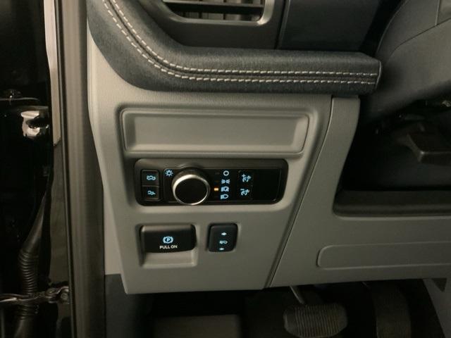 Photo of 2025 Black Metallic Ford F-150 Lightning