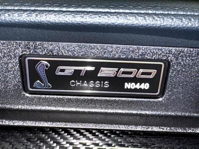 Photo of 2022 Grabber Blue Metallic Ford Shelby GT500