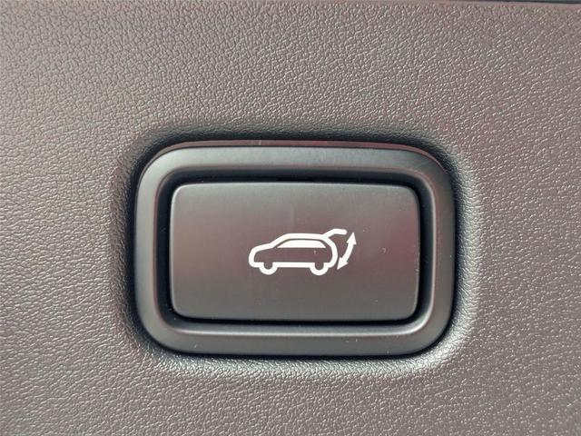 Photo of 2025 Ebony Black Kia EV6
